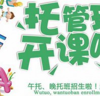 使用培训招生系统免费下载各种招生简章模板