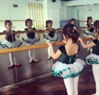 招生管理软件分析解决艺术培训机构的生源痛点