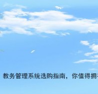 这么复杂的教务工作 不用教务系统怎么把工作做到细致化