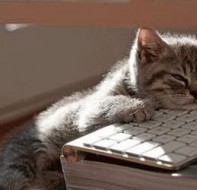 学员多排课烦怎么办？让课程表排课软件帮助你