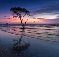 微信招生小程序火爆市场，培训学校都选它!不看后悔