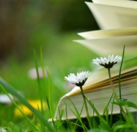 英语培训机构招生方案的招生思路是怎样的?精华分析