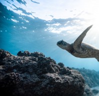艺术学校排课管理软件，科目再多也能一键排课!