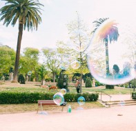 校长如何挑选校区管理系统?培训学校管理关键看这个!